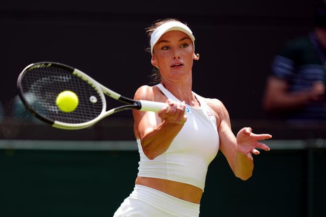 不仅吸引了 不仅吸引了