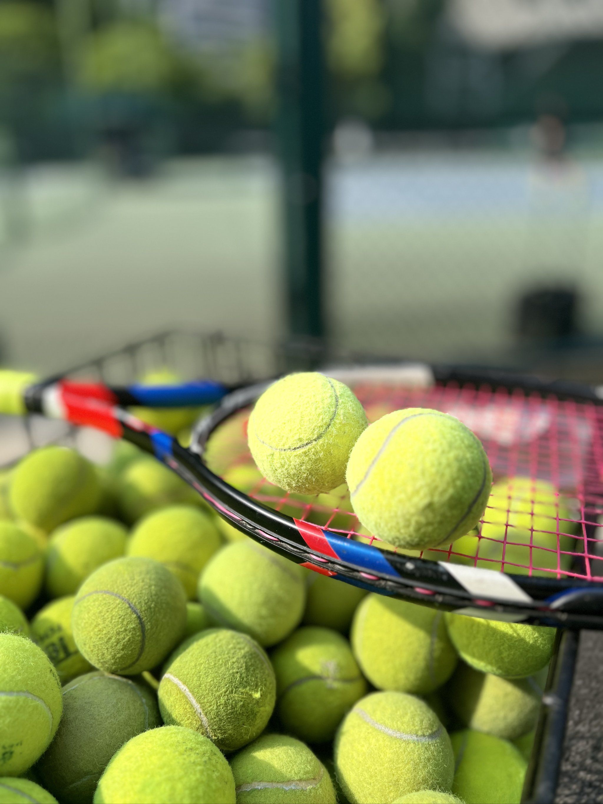 利截然不同 利截然不同